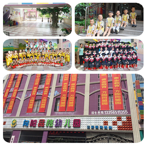湛江澳格向阳品格幼儿园加盟