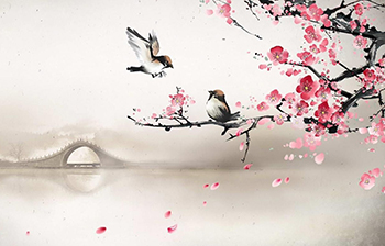 解读古诗——《春晓》,春晓的作者是谁