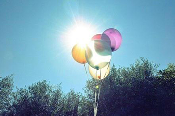 文章的主要内容是解析毫不犹豫的意思