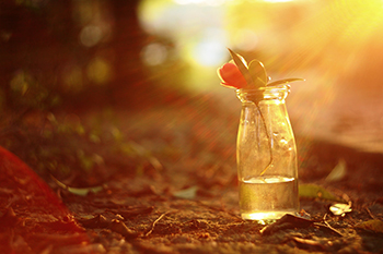 儿童故事网主要讲述的内容是五花八门的意思