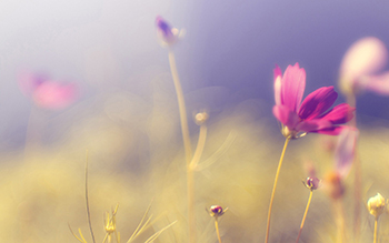 文章主要讲解无穷无尽的意思